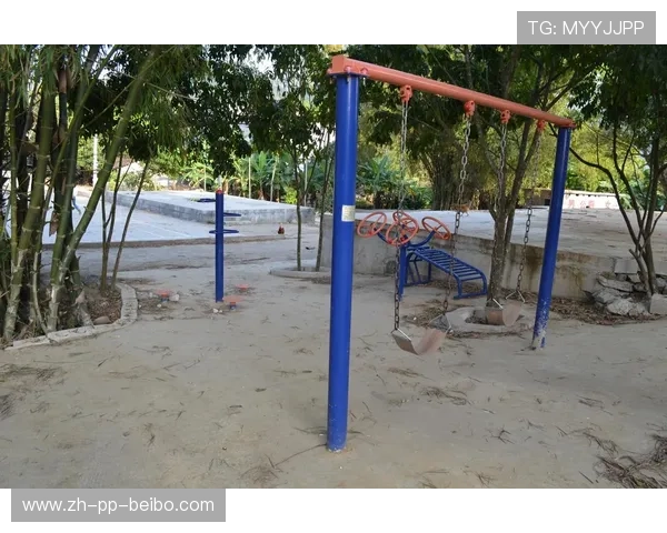 金陵健身器材品牌介绍与校园体育设施案例