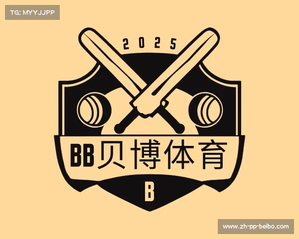 介绍BB贝博体育